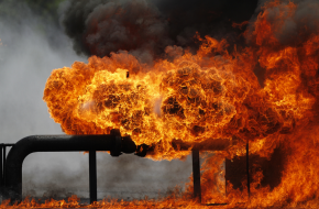 shutterstock-346669154-290x190